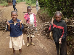 Refreshment Systems Carbon Zero Kenyan Stove Project