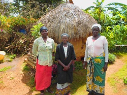 Refreshment Systems Carbon Zero Kenyan Stove Project