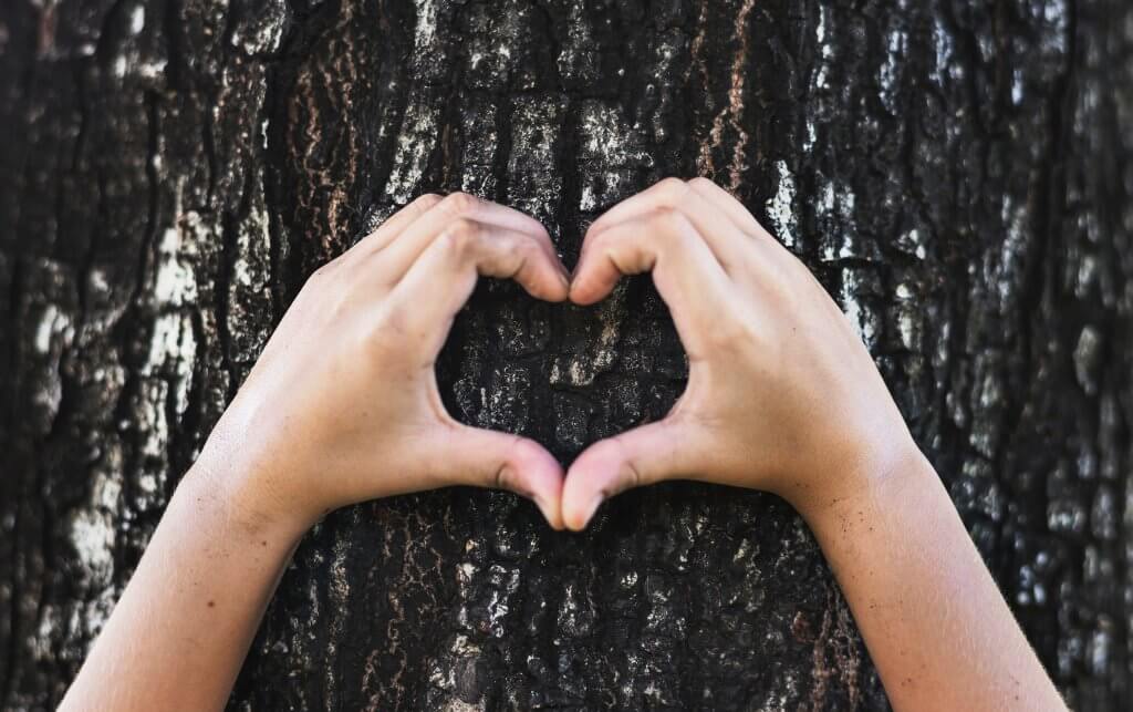 corporate social responsibility - tree and heart