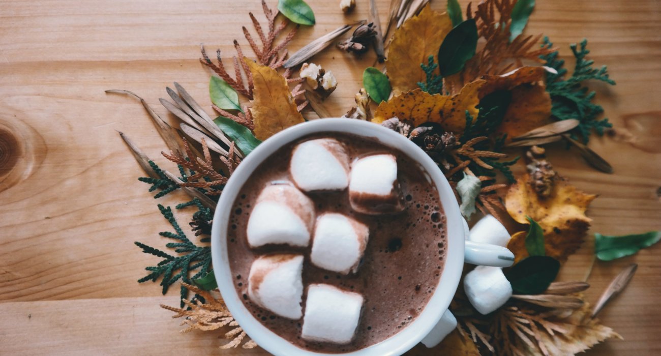 Hot Chocolate in cup with marshmallows